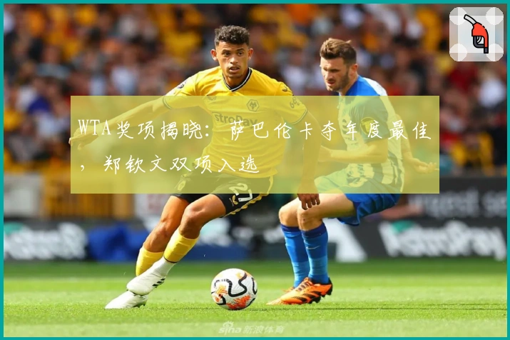 WTA奖项揭晓：萨巴伦卡夺年度最佳，郑钦文双项入选
